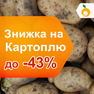 Посадкова картопля до -43%!