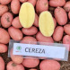 Семенной среднеспелый картофель "Цереза" (1 репродукция, столового назначения) 1кг 