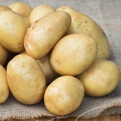 Семенной ранний картофель "Альянс" (Элита, для жарки, фри, чипсов и салатов)