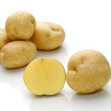 Семенной ранний картофель "Альянс" (Элита, для жарки, фри, чипсов и салатов)