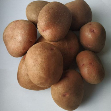 Насіннєва середньостигла картопля "Феномен" (Еліта, сорт універсального призначення) 1 кг