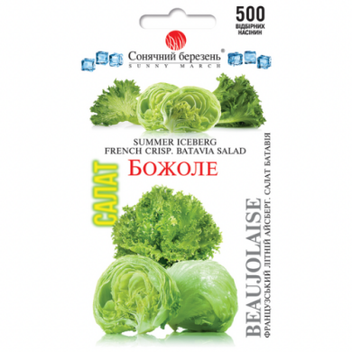 Салат "Божоле" Айсберг (500 шт) Салат "Божоле" Айсберг (500 шт)