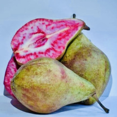 Груша красномякотная "Блютберне"
