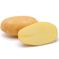 Насіннєва рання картопля "Доната" (1 репродукція, сорт столового призначення) 1 кг