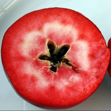 Яблуня "Трініті" (червона м