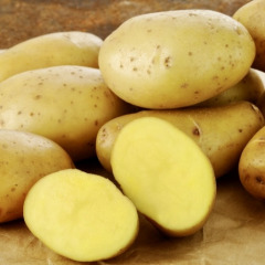 Семенной ранний картофель "Коломбо" (2 репродукция, сорт столового назначения ) імпорт 1кг
