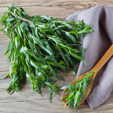 Эстрагон Эстрагон