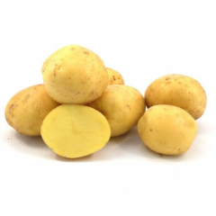 Насіннєва ранньостигла картопля "Констанс" (1 репродукція,столового призначення) 1кг 