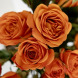 Роза флорибунда "Оранж Бомбастик" Orange Bombastic