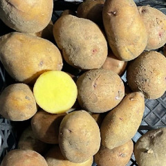 Насіннєва середньостигла картопля "Княгиня" (1 репродукція, універсального призначення) 1кг