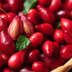 Гармонія в саду: що посадити поруч з кизилом, а яких сусідів уникати