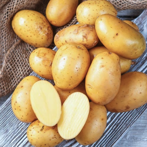 Королева Анна -20%