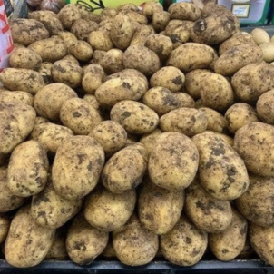 Насіннєва середньопізня картопля "Агрія" -31%