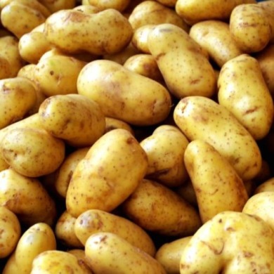 Семенной среднепоздний картофель "Мелоди" (1 репродукция, для варки, пюре) 1 кг