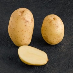 Насіннєва середньопізня картопля "Мелоді" (1 репродукція, для варіння, пюре) 1 кг