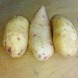 Насіннєва середньорання картопля "Струмок" (Еліта, універсального призначення) 1кг