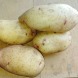 Насіннєва середньорання картопля "Струмок" (Еліта, універсального призначення) 1кг