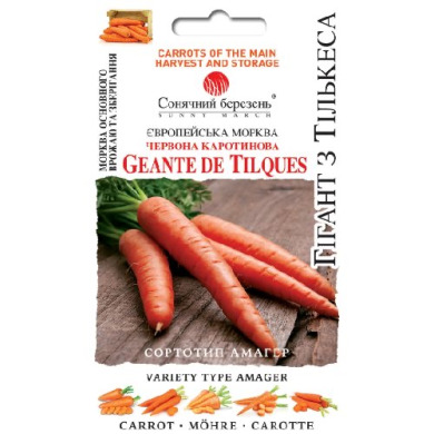Морковь "Гигант из Тилькеса" (1000 шт)