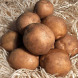 Насіннєва ранньостигла картопля "Скарбница" (1 репродукція,столового призначення) 1кг