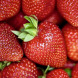 Клубника "Сирия" 5 шт (фриго)