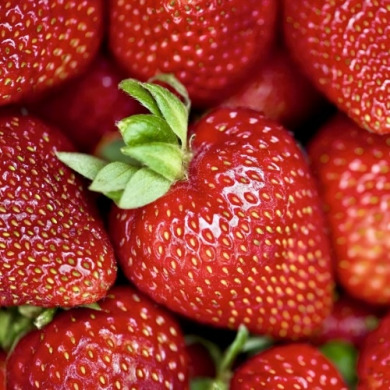 Клубника "Сирия" 5 шт (фриго) Клубника "Сирия" 5 шт (фриго)