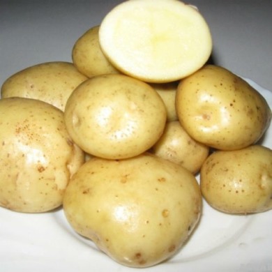 Семенной сверхранний картофель "Минерва" (Элита, для салатов, супов, жарки, варки, и как молодой) 1кг