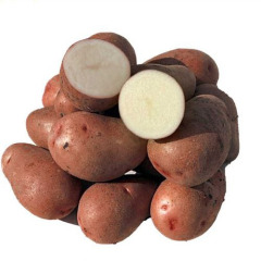 Семенной среднеспелый картофель "Мелания" (Элита, универсального назначения) 1кг 