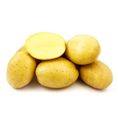 Насіннєва ультрарання картопля "Прада" 1 кг (1 репродукція,сорт столового призначення) 1 кг