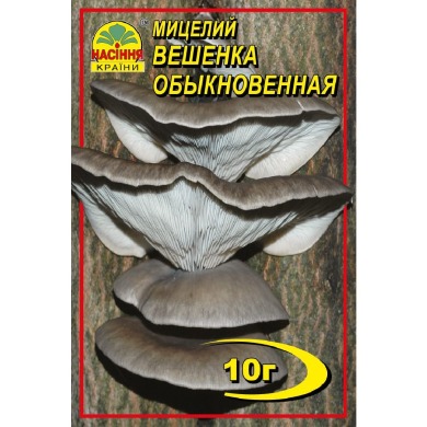 Глива звичайна 10 г