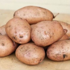 Семенной сверхранний картофель "Жуковский ранний" (Элита, для варки, жарки, запекания) 1кг