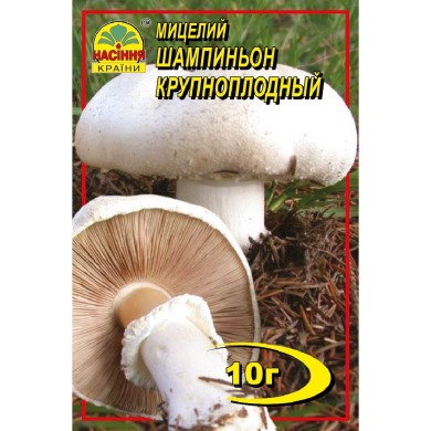 Шампиньон крупноплодный 10 г