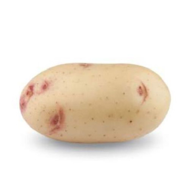 Насіннєва середньостигла картопля "Пердіз" (Еліта, універсального призначення) 1кг