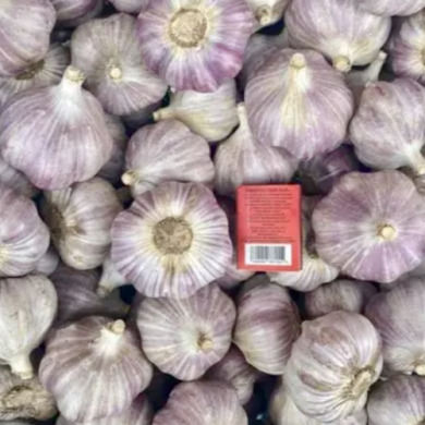 Чеснок посадочный озимый "Харьковский" (головка 5+ ) 0,2 кг Чеснок посадочный озимый "Харьковский" (головка 5+ ) 0,2 кг