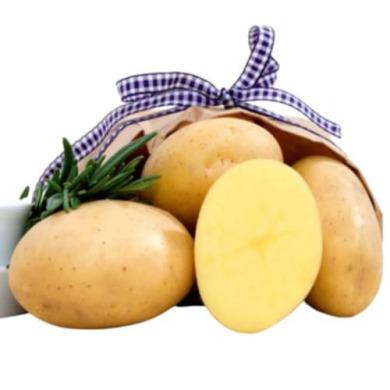 Семенной надранний картофель "Эльф" (1 репродукция, столового назначения) 1кг 