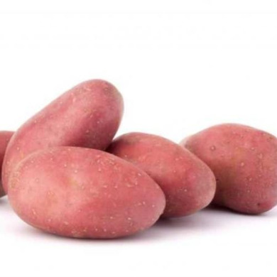 Семенной ранний картофель "Ред Соня" (1 репродукция, для запекания) 20 кг