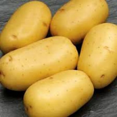 Насіннєва середньорання картопля "Бельмонда" (1 репродукція, універсального призначення) 1кг