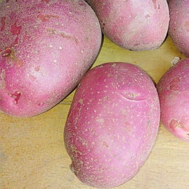 Семенной среднеранний картофель "Виталина" (Элита, универсального назначения) 1кг 