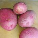Насіннєва середньорання картопля "Віталіна" (Еліта, універсального призначення) 1кг