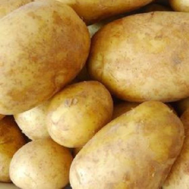 Насіннєва раньостигла картопля "Щедрик" (Еліта, для супів, запікання та жарки ) 1кг